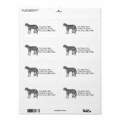 Cheetah Shipping Label (Vorne)