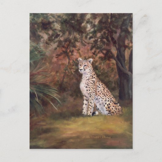 Cheetah Sitting Proud Postkarte (Vorderseite)
