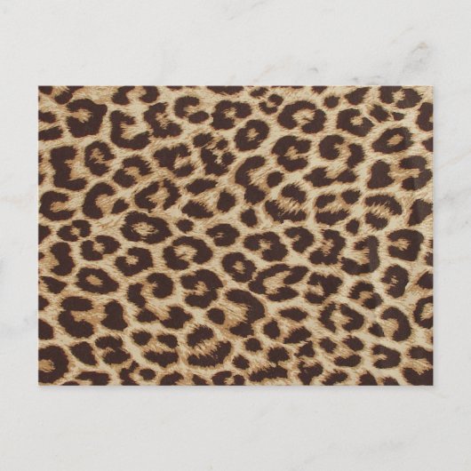 Cheetah Skin Print Postkarte (Vorderseite)