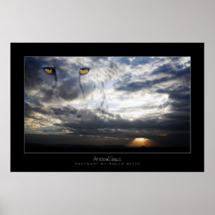 Cheetah Spirit Poster