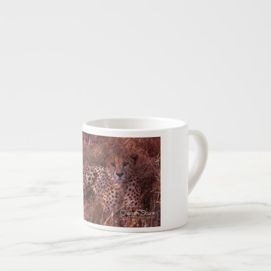 Cheetah Stare Espressotasse (Vorderseite Rechts)