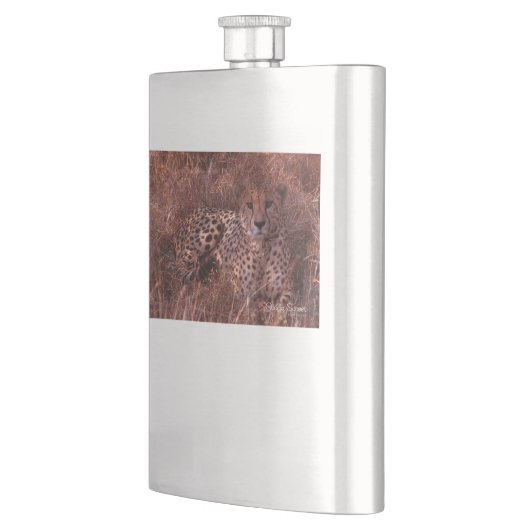 Cheetah Stare Flachmann (Links)