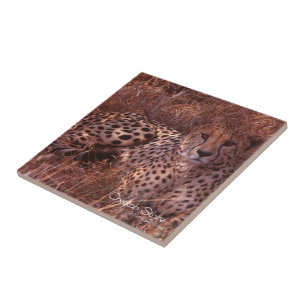Cheetah Stare Fliese