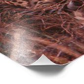 Cheetah Stare Fotodruck (Ecke)