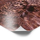 Cheetah Stare Fotodruck (Ecke)