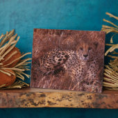 Cheetah Stare Fotoplatte (Seite)