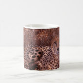 Cheetah Stare Kaffeetasse (Mittel)