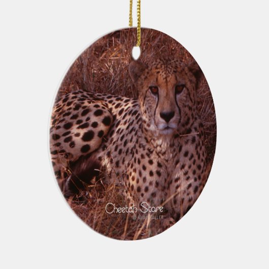 Cheetah Stare Keramikornament (Rechts)