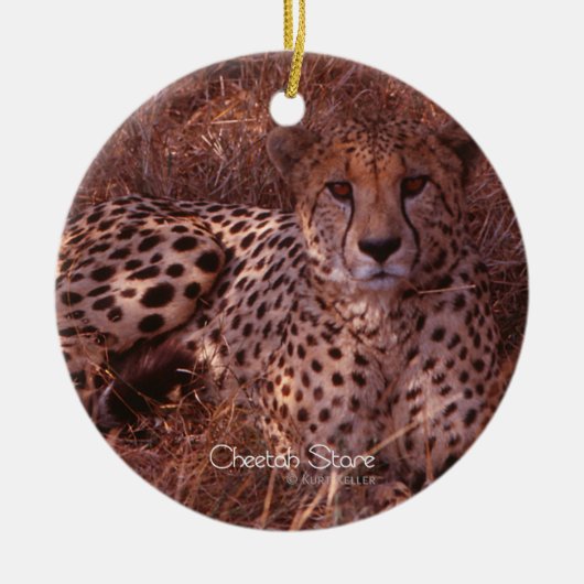 Cheetah Stare Keramikornament (Vorne)