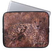 Cheetah Stare Laptopschutzhülle (Vorderseite)