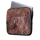 Cheetah Stare Laptopschutzhülle (Vorderseite Links)