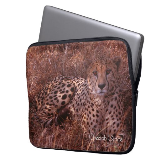Cheetah Stare Laptopschutzhülle (Vorderseite Links)