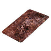 Cheetah Stare Magnet (Linke Seite)