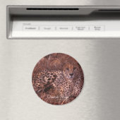Cheetah Stare Magnet (In Situ (Geschirrspüler))