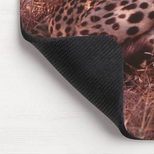 Cheetah Stare Mousepad (Ecke)