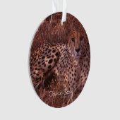Cheetah Stare Ornament (Vorderseite)