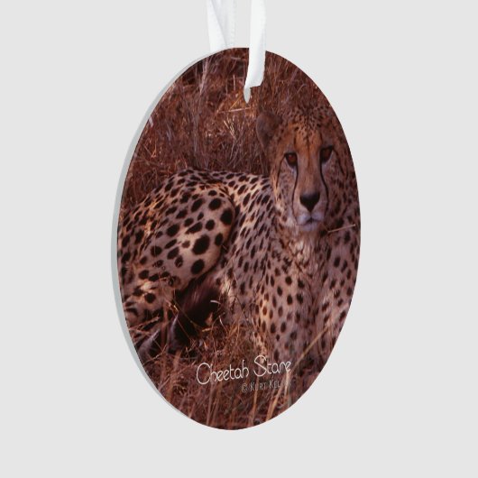 Cheetah Stare Ornament (Vorderseite)