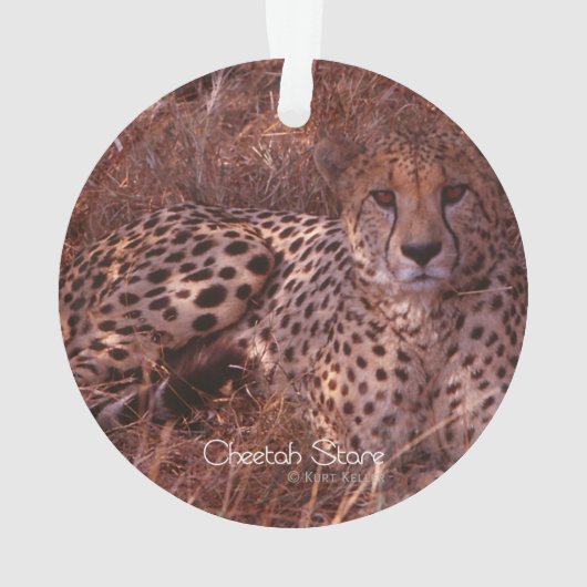 Cheetah Stare Ornament (Rückseite)