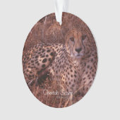 Cheetah Stare Ornament (Vorderseite)