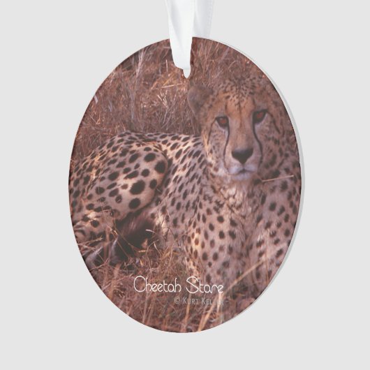 Cheetah Stare Ornament (Vorderseite)