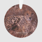 Cheetah Stare Ornament (Vorderseite)