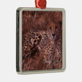 Cheetah Stare Ornament Aus Metall (Rechts)