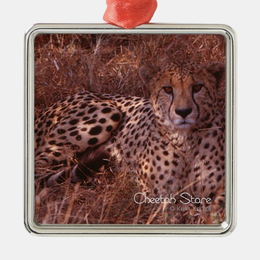 Cheetah Stare Ornament Aus Metall (Vorne)