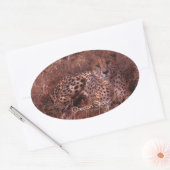 Cheetah Stare Ovaler Aufkleber (Umschlag)