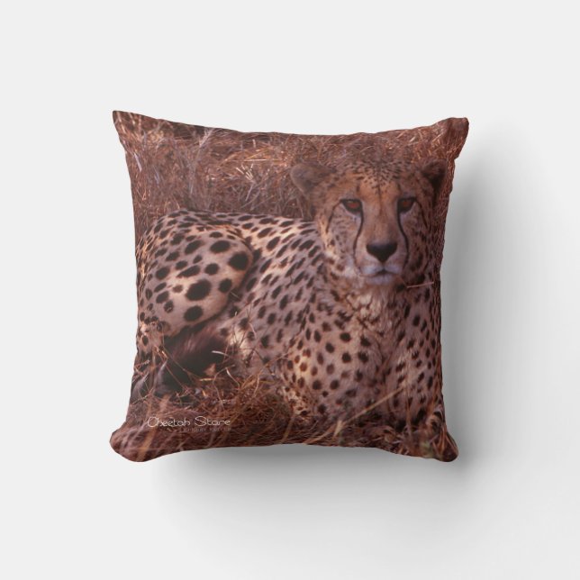 Cheetah Stare Pillow Kissen (Vorderseite)