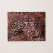 Cheetah Stare Puzzle (Horizontal)