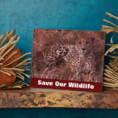 Cheetah Stare Rette Unsere Wildnis Fotoplatte (Seite)