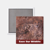 Cheetah Stare Rette Unsere Wildnis Magnet (Vorderseite/Rückseite)
