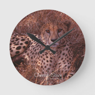 Cheetah Stare Runde Wanduhr