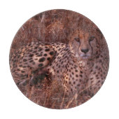 Cheetah Stare Schneidebrett (Vorderseite)