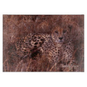 Cheetah Stare Schneidebrett (Vorderseite)