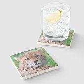 Cheetah Steinuntersetzer (Seitenansicht)