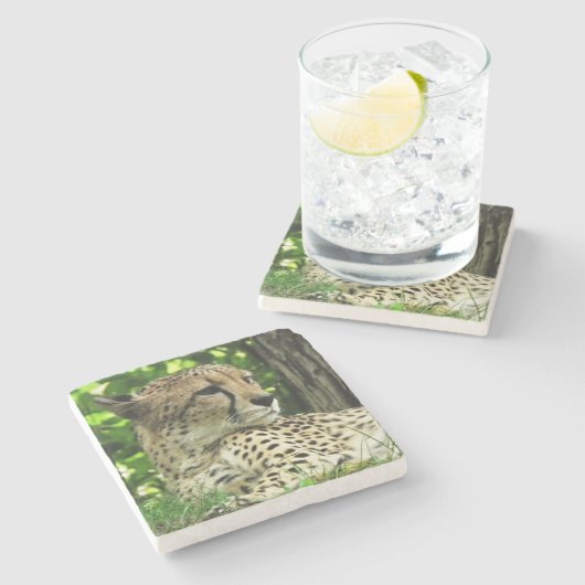 Cheetah Steinuntersetzer (Seitenansicht)