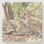 Cheetah Steinuntersetzer (Vorderseite)