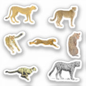 Cheetah Stickers Aufkleber (Vorderseite)