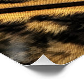 Cheetah Sunriser Poster (Ecke)