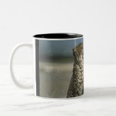 Cheetah Tasse (Links)