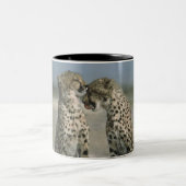 Cheetah Tasse (Mittel)