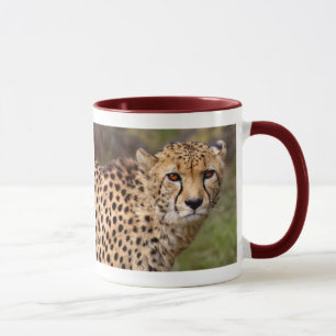 Cheetah Tasse