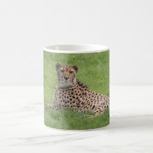Cheetah Tasse