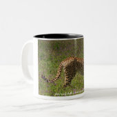 Cheetah-Tasse Zweifarbige Tasse (Vorderseite Links)
