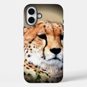 Cheetah Tear Marks Hakunamatata iPhone 16 Plus Hülle