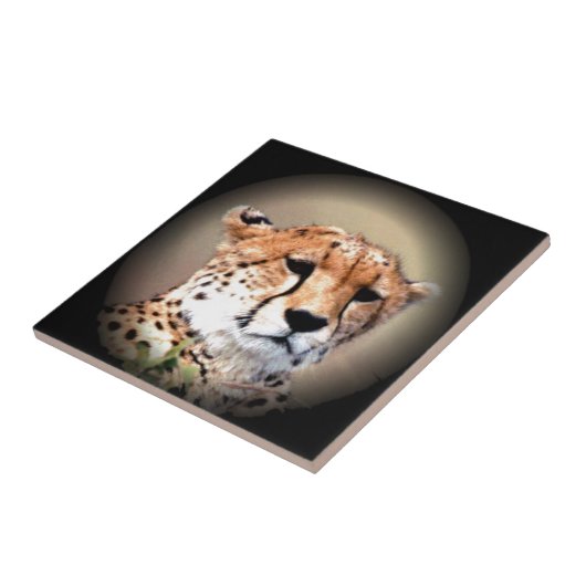 Cheetah Tear Marks Hakunamatata Fliese (Seite)