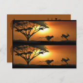 Cheetah und Gazelle Buchmarkierungen Postkarte (Vorne/Hinten)