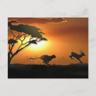 Cheetah und Gazelle Postkarte