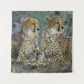 Cheetah Wandteppich (Vorderseite)